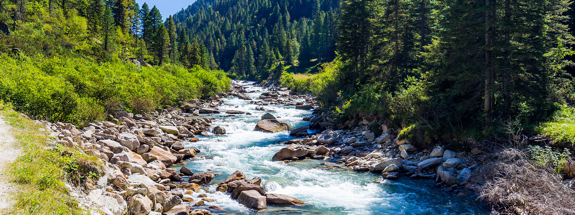 quelle-berge-wald-bluuwa-water-solutions